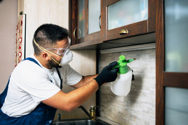 Best Flea Control Services  in Highlands, NC