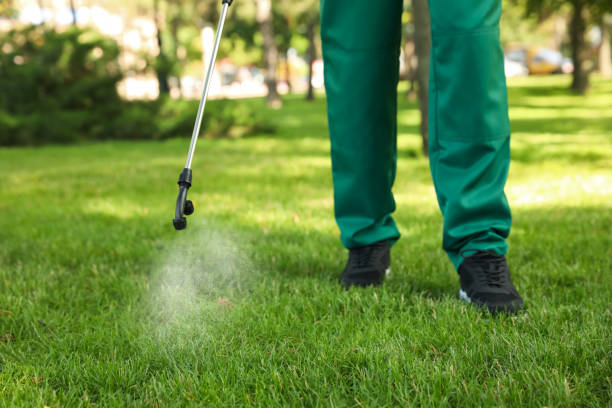 Best Best Pest Control Companies  in Highlands, NC