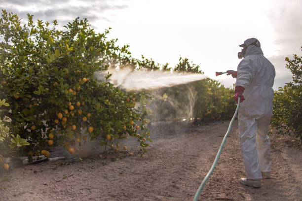 Best Cockroach Control Services  in Highlands, NC