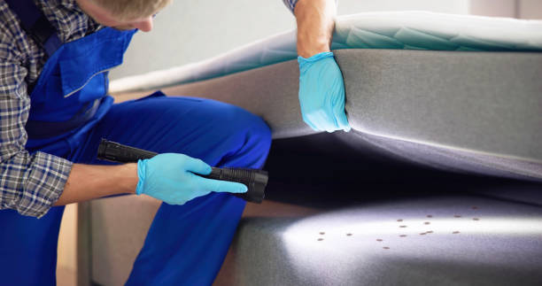 Professional Pest Control in Highlands, NC