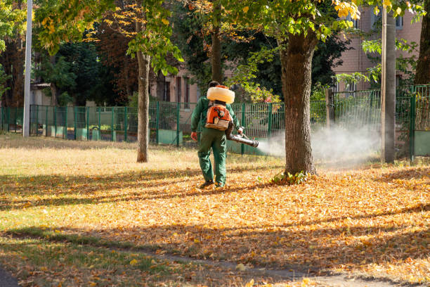 Best Pest Prevention Services  in Highlands, NC